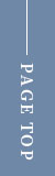 pagetop