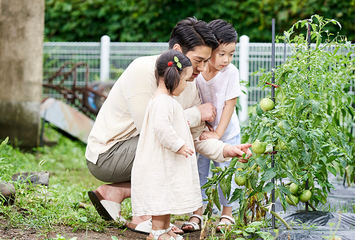 広めの庭で家庭菜園も